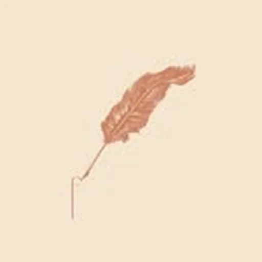 @fabelmiami profile image