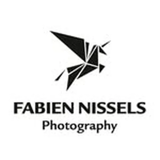 @fabiennissels profile image