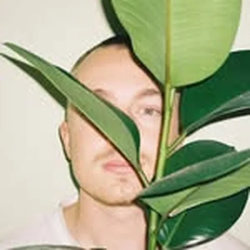 @fabivn profile image