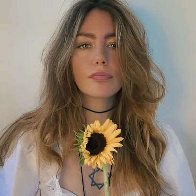 @fae._.wolfe profile image