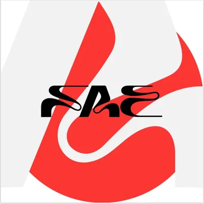 @fae.festival profile image