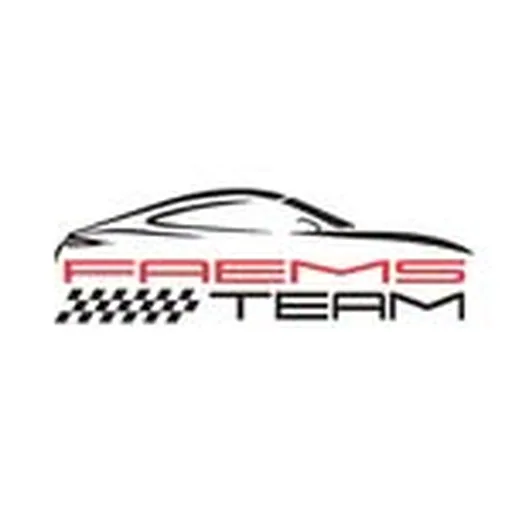 @faemsteam profile image