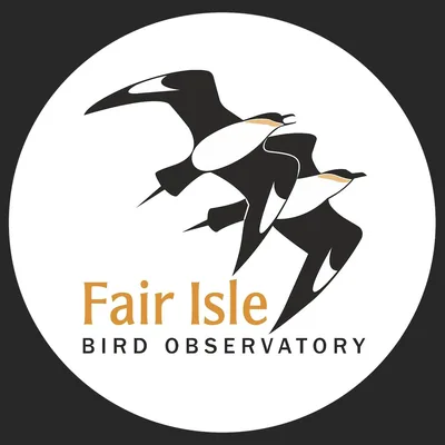 @fairislebirdobs profile image