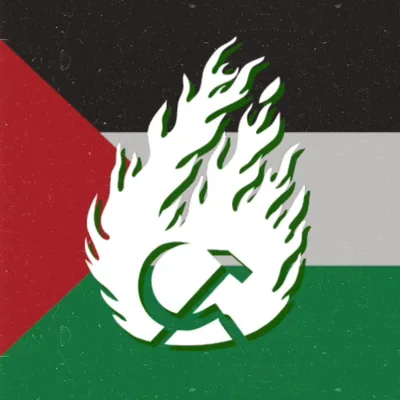 @faiscarevolucionaria profile image
