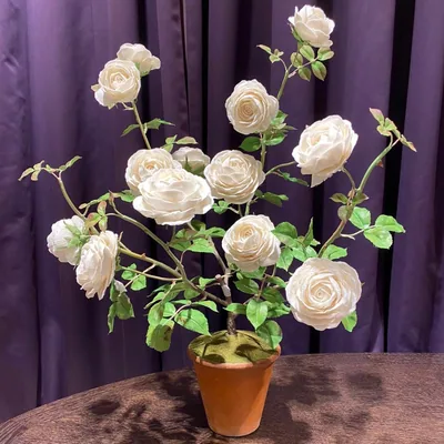@fajas.porcelain.flowers profile image