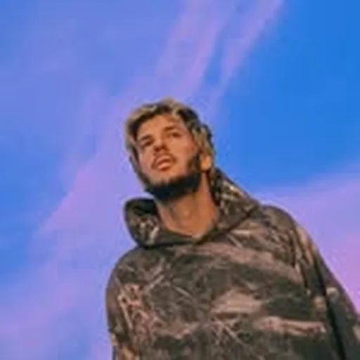 @fakearmusic profile image