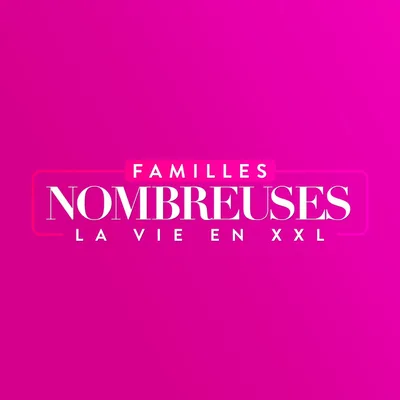 @famillesnombreusestf1 profile image