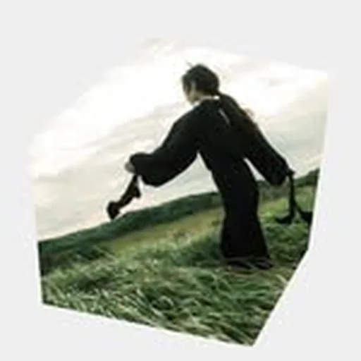 @fanfan profile image