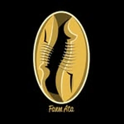 @fanm_ata profile image