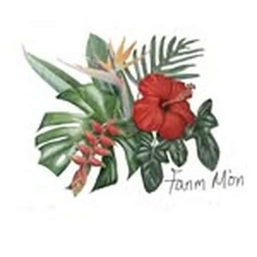 @fanmmon profile image