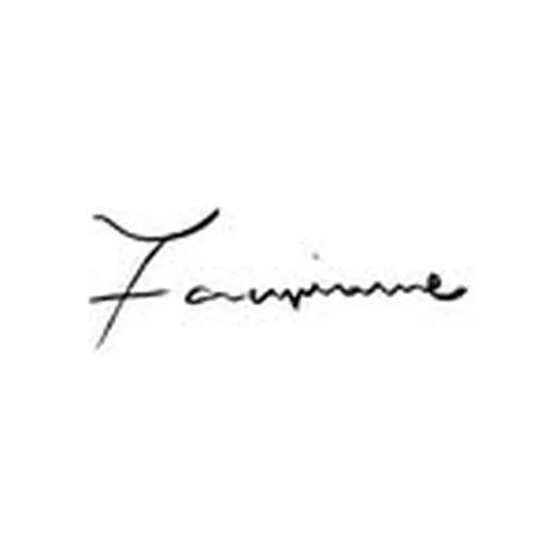 @fauvirame profile image