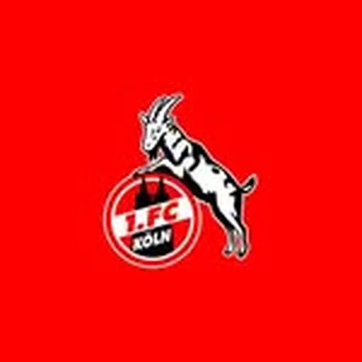 @fckoeln_stiftung profile image