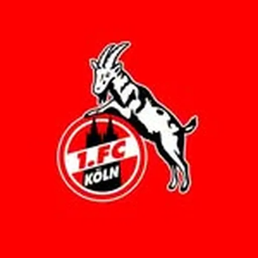 @fckoeln_younggoats profile image