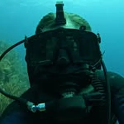 @fcousteau profile image