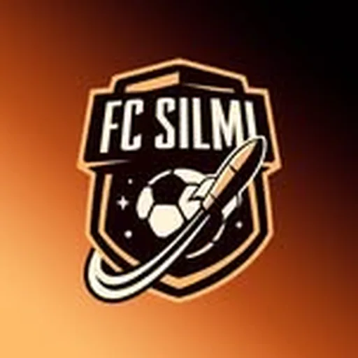 @fcsilmi profile image