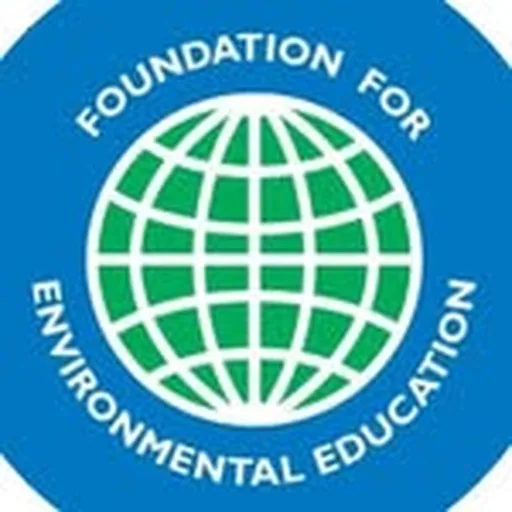 @fee_global profile image