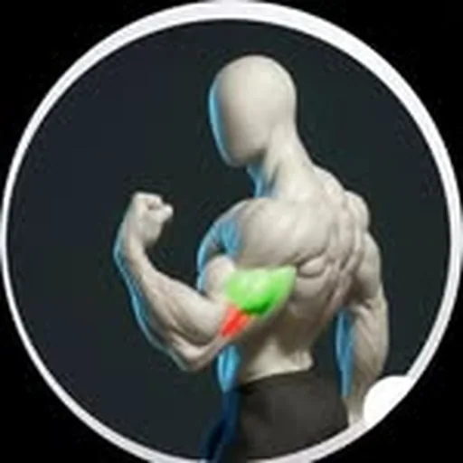 @feed_fitness_gym profile image