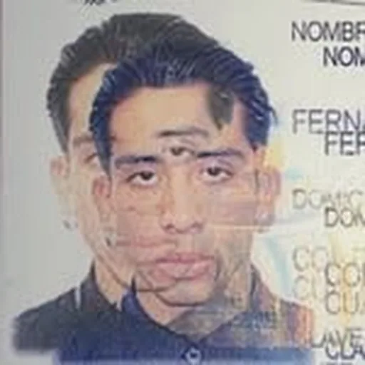 @feerguez profile image