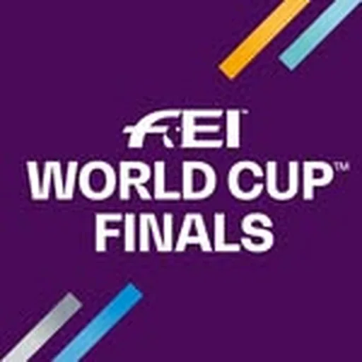 @feiworldcupfinals profile image