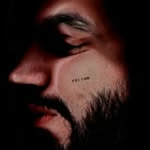 @felinodj profile image