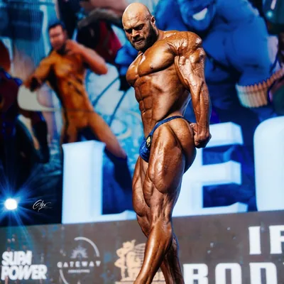 @felixnorman5 profile image