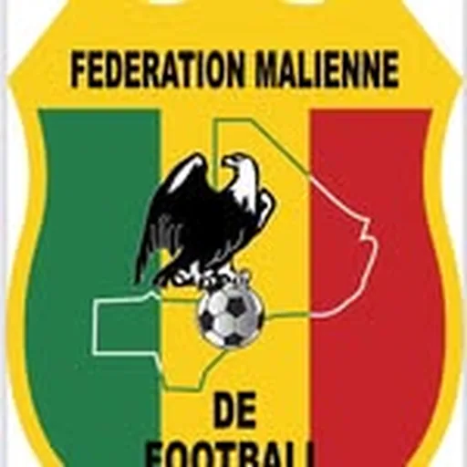 @femafoot_officiel profile image