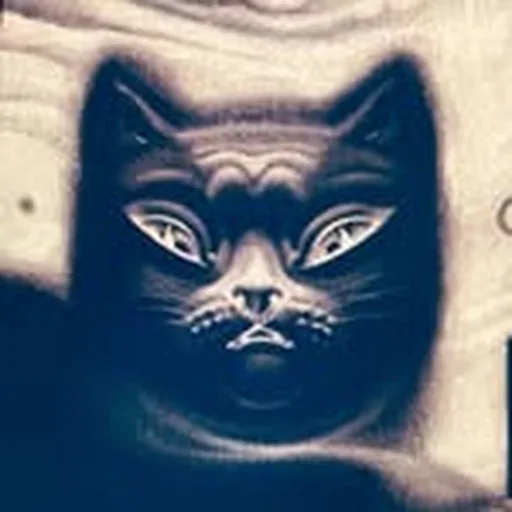 @femtasia profile image