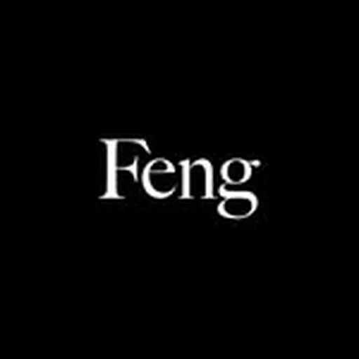 @feng.officiel profile image