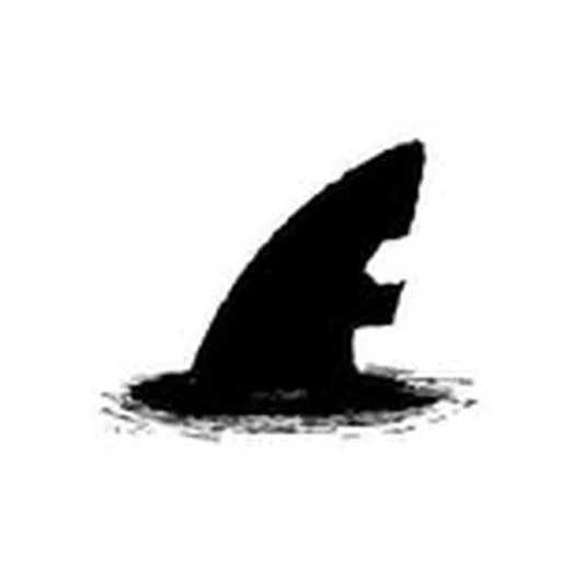 @fenyo_n profile image
