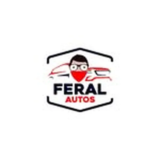 @feralautos profile image