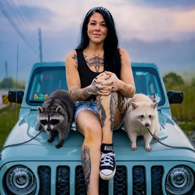 @feralwitharchieandphoebe profile image