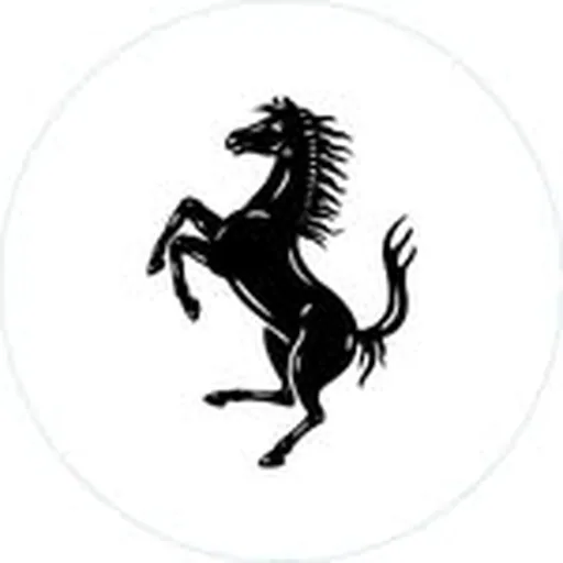 @ferrariusa profile image