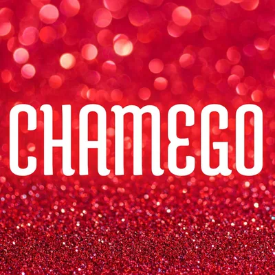 @festachamego profile image