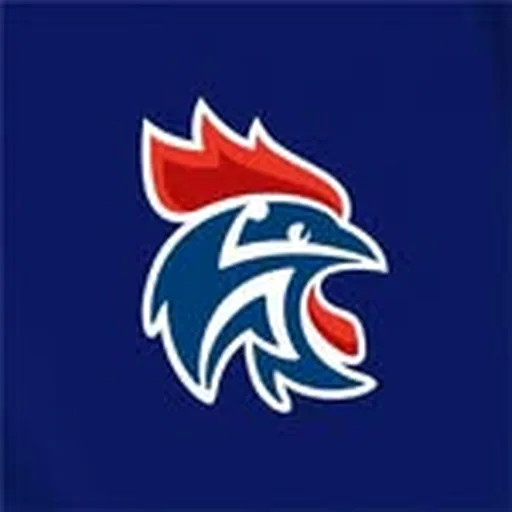 @ffhandball profile image