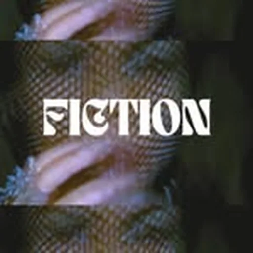 @fictionseoul profile image