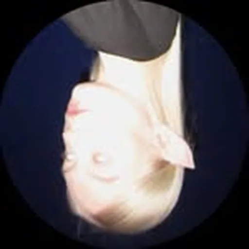 @fienlanckriet profile image