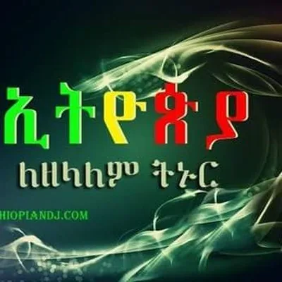 @fikir.fikir profile image