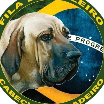 @filabrasilero profile image