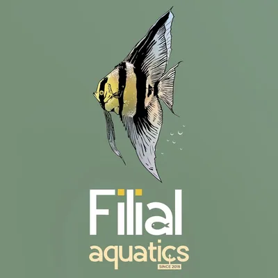 @filialaquatics profile image