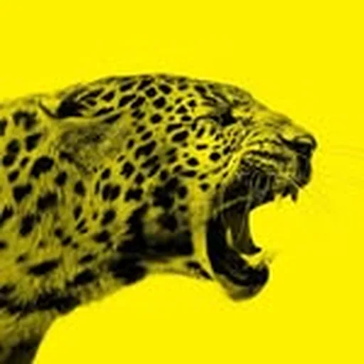 @filmfestlocarno profile image