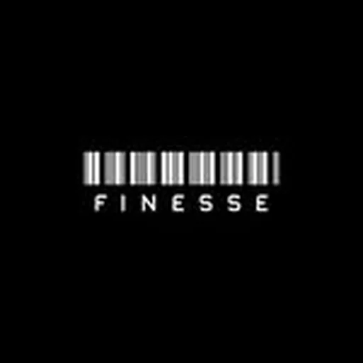 @finesseusstudios profile image