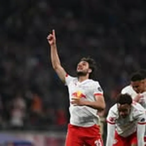 @finkgraefe profile image