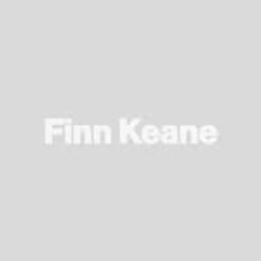 @finnnkeannne profile image