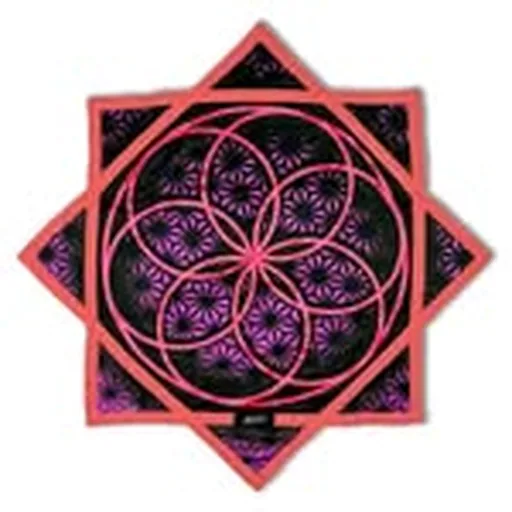 @first.earth profile image