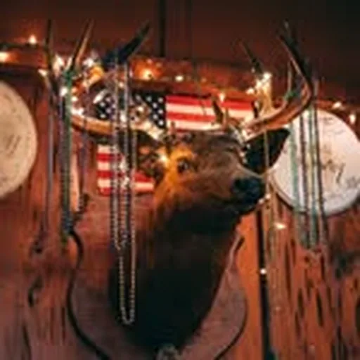 @fitzgeraldsnightclub profile image