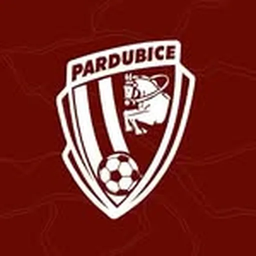@fkpardubice profile image