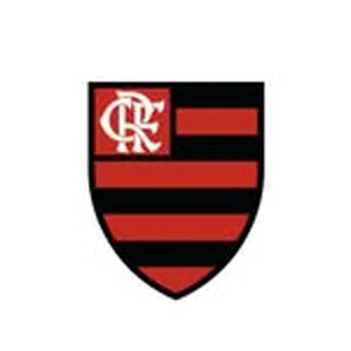 @flamengoen profile image