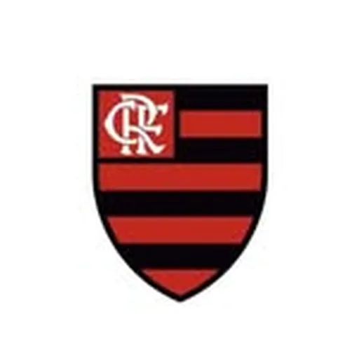 @flamengofutebolfeminino profile image