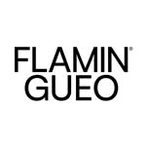 @flamingueo profile image