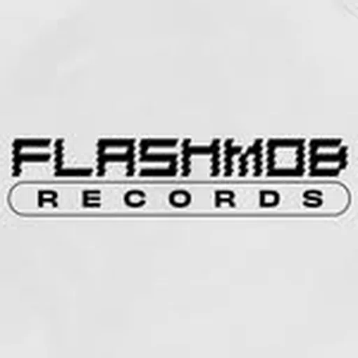 @flashmob.records profile image